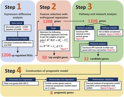 A Novel Early-Stage Lung Adenocarcinoma Prognostic Model Based on Feature Selection With Orthogonal Regression